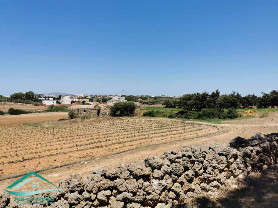 El Haouaria Sidi Daoud Vente Surfaces Terrain agricole  sidi daoued hawaria
