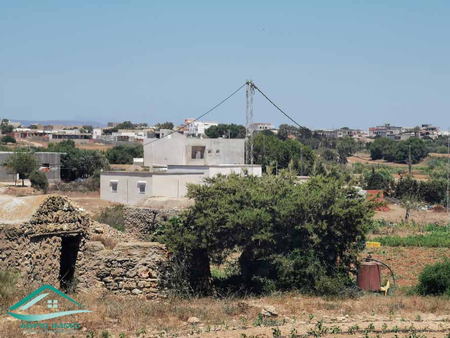El Haouaria Sidi Daoud Vente Surfaces Terrain agricole  sidi daoued hawaria
