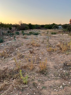 Mnihla Mnihla Vente Autre Terrain  sanheji