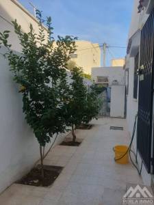 Raoued Cite El Ghazala 1 Vente Maisons Villa ghazela avec 2 studios ref120a